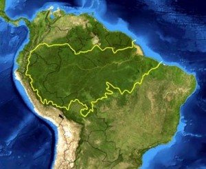 El río Amazonas, en riesgo de secarse