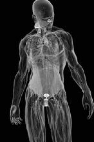 Tecnología Japonesa para un futuro postapocalíptico