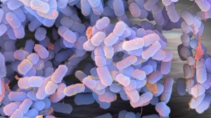 Descubren Vida Extraterrestre... ¡En la Tierra!