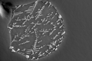 Ampliación: El agua de la Luna es idéntica a la de la Tierra