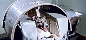 Laika, 60 Años Después