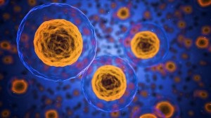 Descubren Nueva Forma Geométrica en Nuestra Piel!