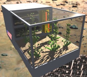 Vegetales frescos y cultivo de flores podrían ser producidos en la luna