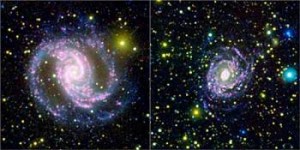 Las Condiciones Ambientales Que Determinan el Tamaño de las Estrellas