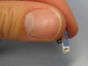 Hormigas robóticas conquistarán Marte