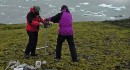 Científicos Consternados: Musgo Antártico Resucita tras 1.500 Años Congelado