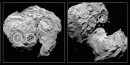 Seleccionan 5 Puntos de Cometizaje para Rosetta