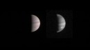 Juno hará su máxima aproximación a Júpiter mañana
