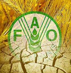 FAO